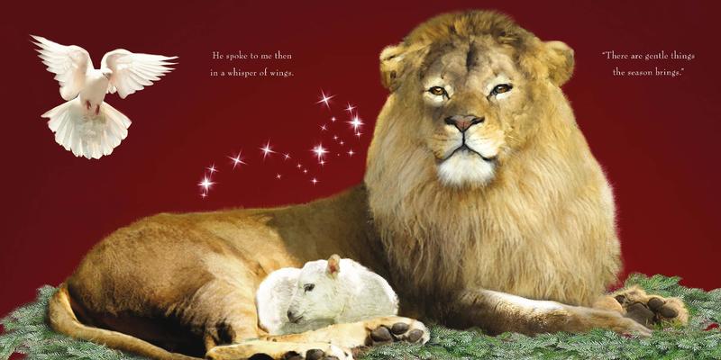 Nancy Tillman The Spirit Of Christmas Board Book