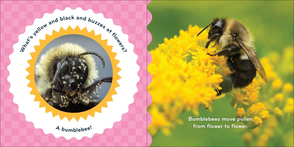 Nature Baby: Bugs