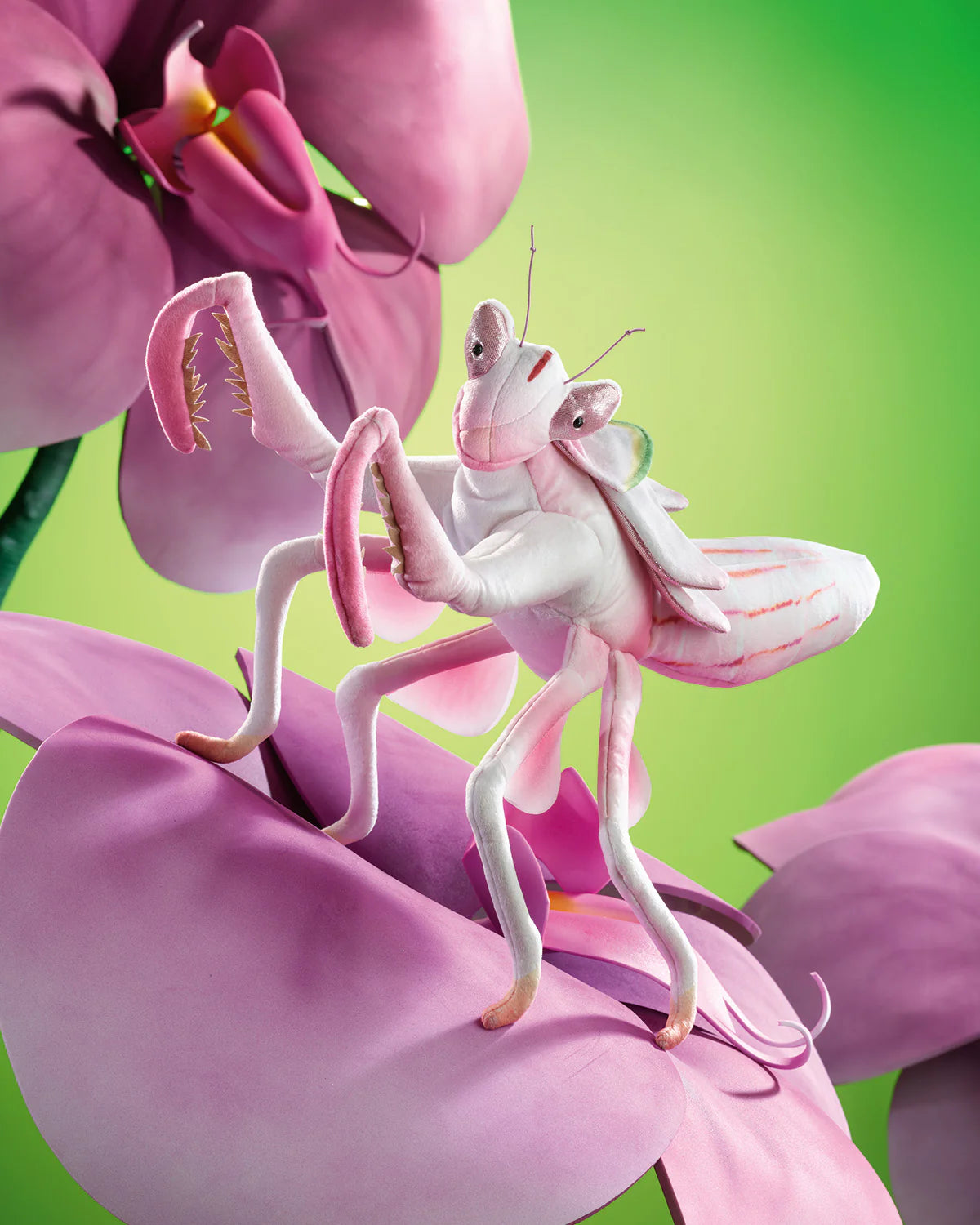 Folkmanis Ochid Praying Mantis