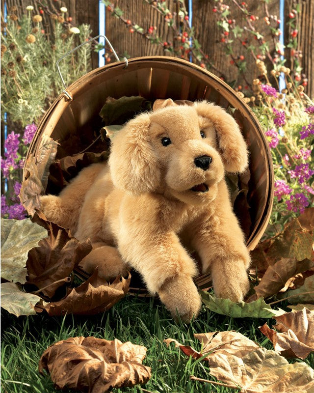 Folkmanis Golden Retriever Puppy