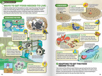 Pokécology -  An Illustrated Guide to Pokémon Ecology