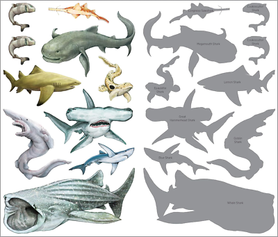 Tattoos That Teach Super, Strong Tattoo Sharks