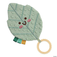 Sensory Sprouts Infant Essentials Kit