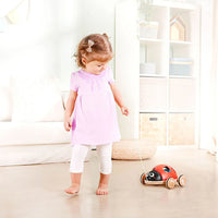 Hape Shape Sorter Ladybug