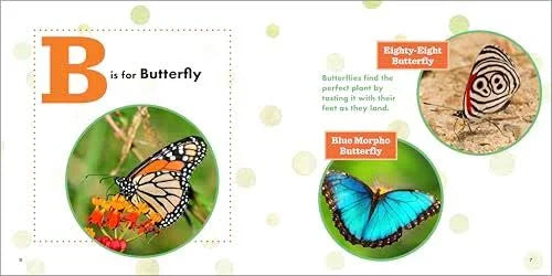 ABC Bug Book For Kids