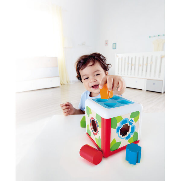 Hape Shape Sorting Box