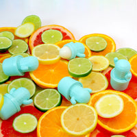 Rebels Refinery Teal Cactus- Summer Citrus
