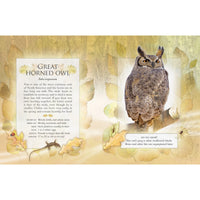 A Firefly Book The Little Book Of Backyard Birds